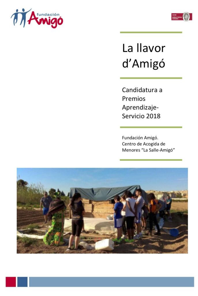 llavor-damigó-686x1024